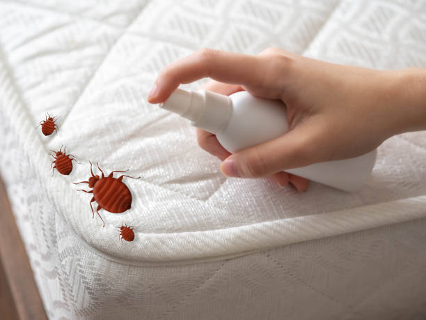 Best Affordable Pest Control Services  in Oak Grove, TN